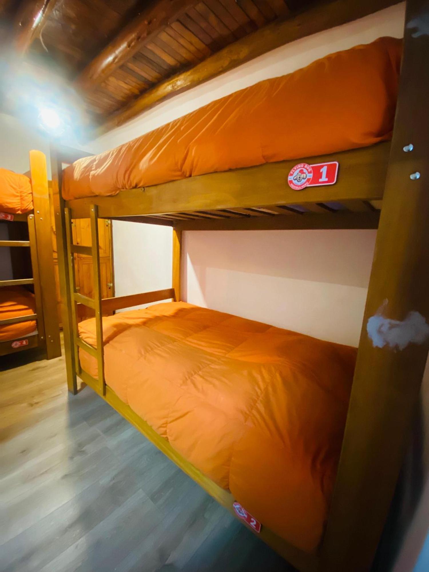 Flying Dog Hostel Cusco Bagian luar foto